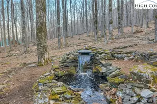 632 Big Tree Rd, West Jefferson, NC 28694 - Photo 7