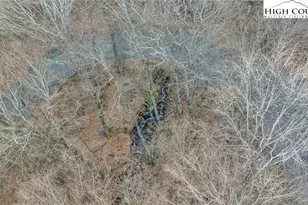 632 Big Tree Rd, West Jefferson, NC 28694 - Photo 43