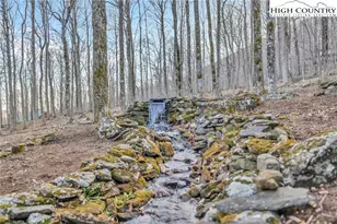 632 Big Tree Rd, West Jefferson, NC 28694 - Photo 5