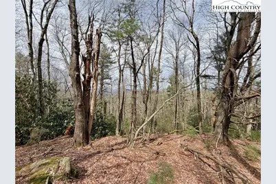 Tbd Grandview Drive, Boone, NC 28607 - Photo 27