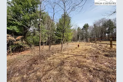 Tbd Grandview Drive, Boone, NC 28607 - Photo 17