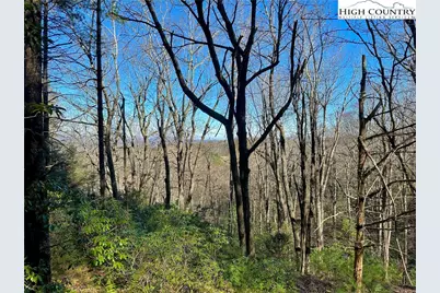 Tbd Grandview Drive, Boone, NC 28607 - Photo 43