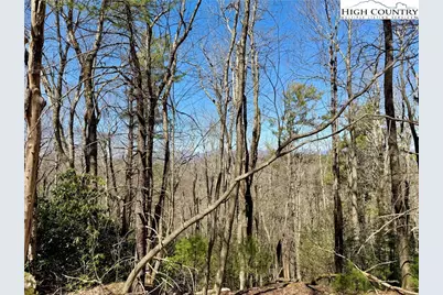 Tbd Grandview Drive, Boone, NC 28607 - Photo 39