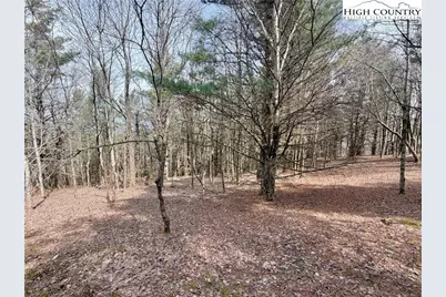 Tbd Grandview Drive, Boone, NC 28607 - Photo 21