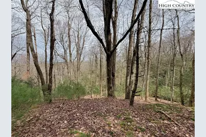 Tbd Grandview Drive, Boone, NC 28607 - Photo 29