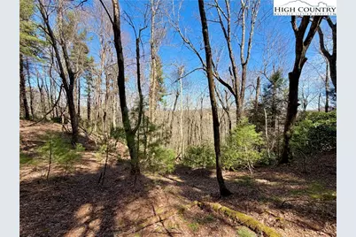 Tbd Grandview Drive, Boone, NC 28607 - Photo 39
