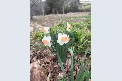 304 Elk River Road, Elk Park, NC 28622 - Photo 5