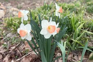 304 Elk River Rd, Elk Park, NC 28622 - Photo 5