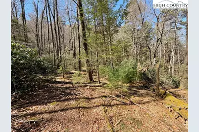 Tbd George Hayes Road, Boone, NC 28607 - Photo 19