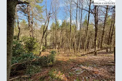 Tbd George Hayes Road, Boone, NC 28607 - Photo 9