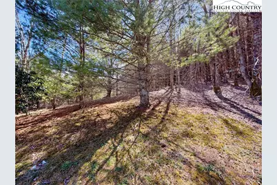 Tbd George Hayes Road, Boone, NC 28607 - Photo 15