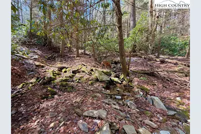 Tbd George Hayes Road, Boone, NC 28607 - Photo 11