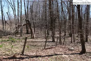 4122 F Nc Hwy 194, Todd, NC 28684 - Photo 43