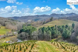 369 Spencer Branch Rd, Lansing, NC 28643 - Photo 47