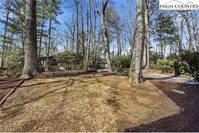 154 Lady Slipper Loop, Newland, NC 28657 - Photo 3