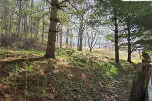 3160 Roundabout Rd, Creston, NC 28615 - Photo 35