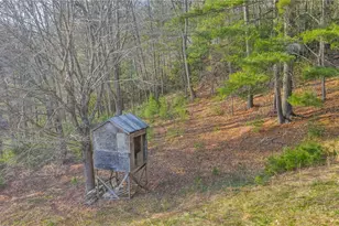 3160 Roundabout Rd, Creston, NC 28615 - Photo 47