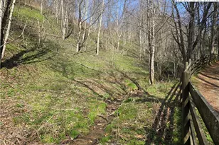 3160 Roundabout Rd, Creston, NC 28615 - Photo 37