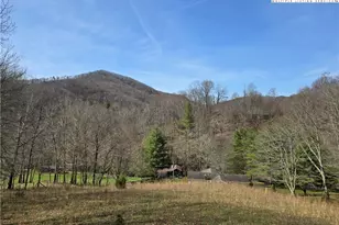 3160 Roundabout Rd, Creston, NC 28615 - Photo 7