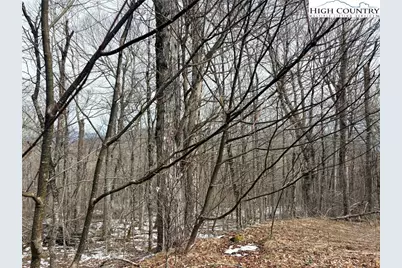 Lot 5 Chappell Farms North, Banner Elk, NC 28604 - Photo 19