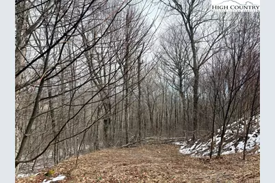 Lot 5 Chappell Farms North, Banner Elk, NC 28604 - Photo 5