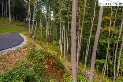 C-119 Mossy Bark Trail, Banner Elk, NC 28604 - Photo 3