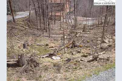 101 Foxgrape Hollow Road, Beech Mountain, NC 28604 - Photo 13