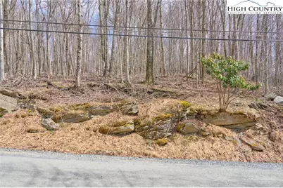217 Overbrook Trail, Beech Mountain, NC 28604 - Photo 5