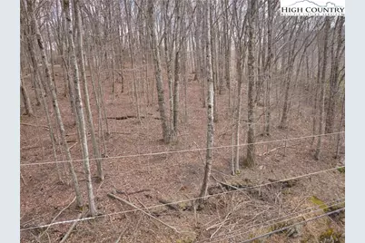217 Overbrook Trail, Beech Mountain, NC 28604 - Photo 3