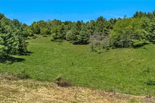 1607 & 1567 Will Vannoy Rd, West Jefferson, NC 28694 - Photo 11