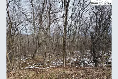 Lot 6 Chappell Farms North, Banner Elk, NC 28604 - Photo 21