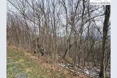 Lot 7 Chappell Farms North, Banner Elk, NC 28604 - Photo 15