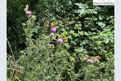 Tbd Black Rock Mountain Rd., Independence, VA 24348 - Photo 19