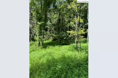 Tbd Black Rock Mountain Rd., Independence, VA 24348 - Photo 7