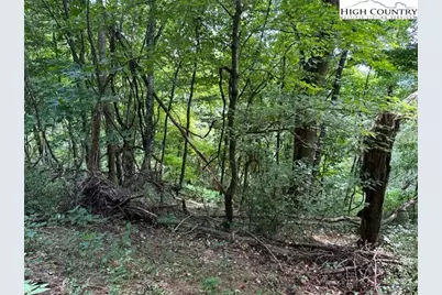 Tbd Black Rock Mountain Rd., Independence, VA 24348 - Photo 11