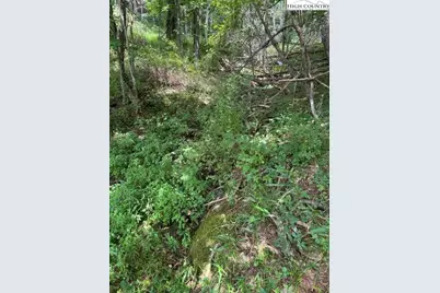 Tbd Black Rock Mountain Rd., Independence, VA 24348 - Photo 9