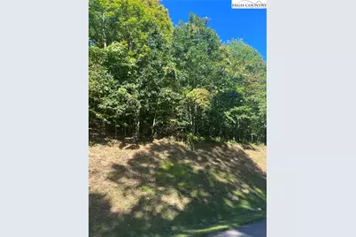 172 Hump View Trail, Banner Elk, NC 28604 - Photo 5