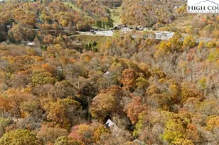 592 Galax Cir, Blowing Rock, NC 28605 - Photo 41