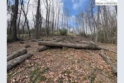 Tbd Wildcat Wilderness Parkway, Deep Gap, NC 28618 - Photo 9