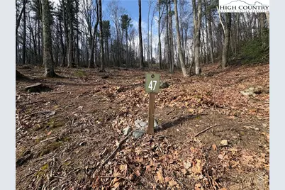 Tbd Wildcat Wilderness Parkway, Deep Gap, NC 28618 - Photo 3