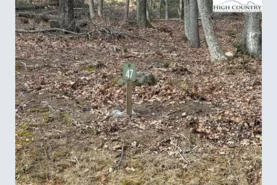 Tbd Wildcat Wilderness Parkway, Deep Gap, NC 28618 - Photo 19