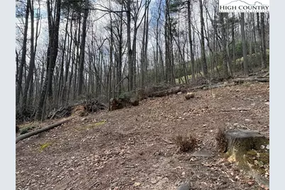 Tbd Wildcat Wilderness Parkway, Deep Gap, NC 28618 - Photo 11