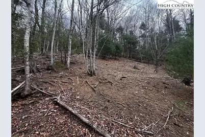 Lot 16 Bear Creek Lane, Deep Gap, NC 28618 - Photo 3