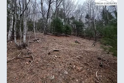 Lot 16 Bear Creek Lane, Deep Gap, NC 28618 - Photo 5