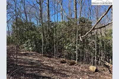 Tbd Lot # 70 Tall Tree Lane, Banner Elk, NC 28604 - Photo 11