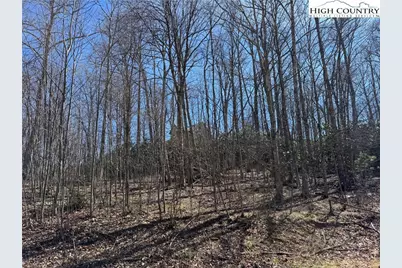 Tbd Tall Tree Lane #70, Banner Elk, NC 28604 - Photo 17