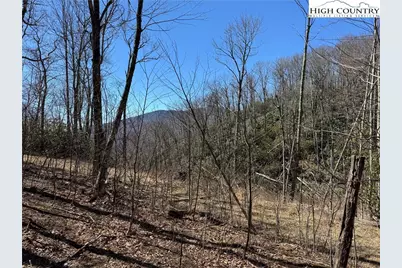 Tbd Lot # 70 Tall Tree Lane, Banner Elk, NC 28604 - Photo 23