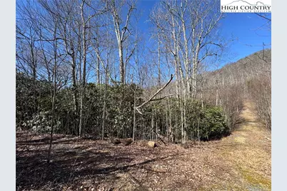 Tbd Lot # 70 Tall Tree Lane, Banner Elk, NC 28604 - Photo 13