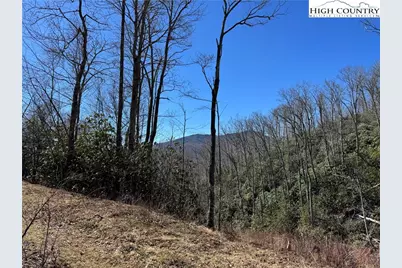 Tbd Lot # 70 Tall Tree Lane, Banner Elk, NC 28604 - Photo 1