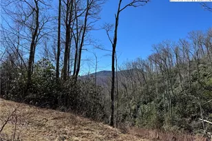 Tbd Lot # 70 Tall Tree Ln, Banner Elk, NC 28604 - Photo 1
